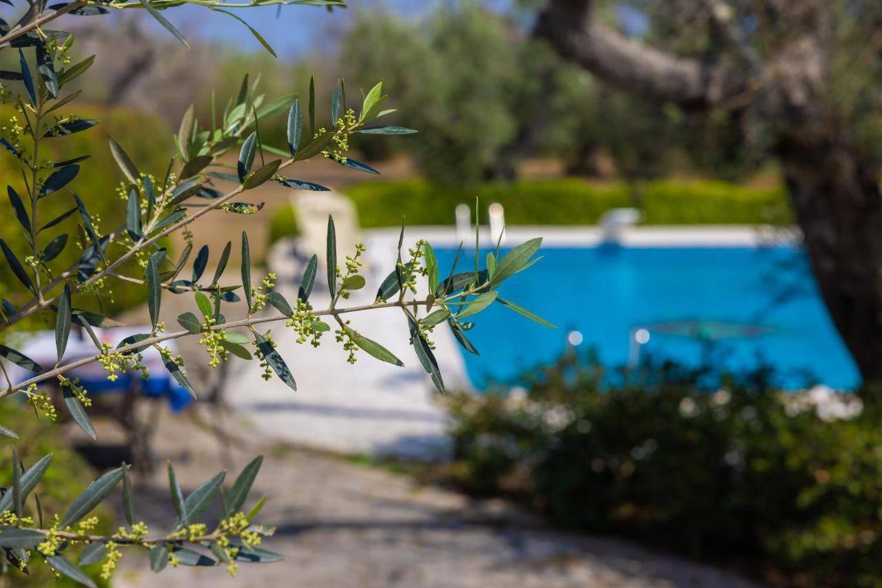 Bed and Breakfast Casa Ulmi Con Piscina Уджано-ла-Кьеза Экстерьер фото